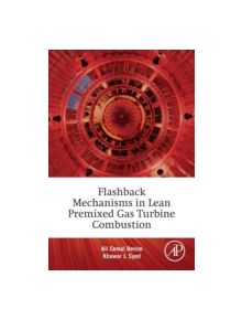 Flashback Mechanisms in Lean Premixed Gas Turbine Combustion - 9780128007556