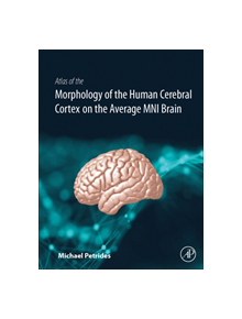 Atlas of the Morphology of the Human Cerebral Cortex on the Average MNI Brain - 9780128009321