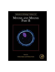 Mitosis and Meiosis Part B - 9780128141427