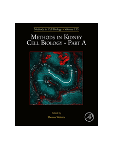 Methods in Kidney Cell Biology Part A - 9780128170823