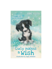 Lucy Makes a Wish - 9780192772480