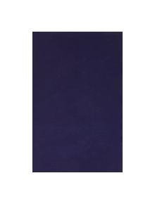 Opus Epistolarum Des. Erasmi Roterodami: Volume VII: 1527-1528 - 9780198203476