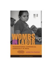 Wombs in Labor - 9780231169912