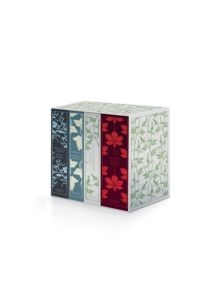 The Bronte Sisters (Boxed Set) - 9780241248768