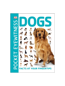 Pocket Eyewitness Dogs - 9780241343609