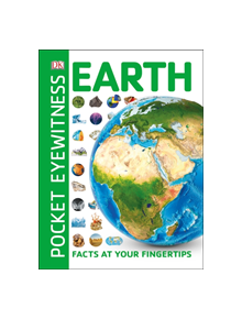 Pocket Eyewitness Earth - 9780241343647