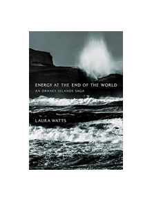 Energy at the End of the World - 9780262038898