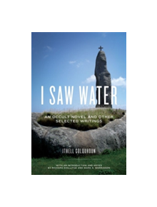 I Saw Water - 9780271064239