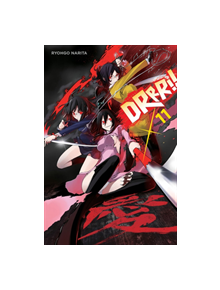 Durarara!!, Vol. 11 (light novel) - 9780316474368