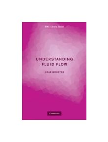 Understanding Fluid Flow - 9780521132893