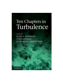 Ten Chapters in Turbulence - 9780521769440