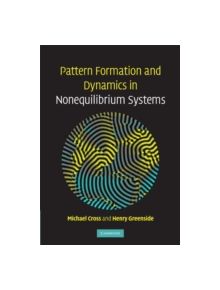 Pattern Formation and Dynamics in Nonequilibrium Systems - 9780521770507