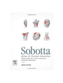 Sobotta Tables of Muscles, Joints and Nerves, English - 9780702052545