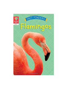 Reading Gems Fact Finders: Flamingos (Level 1) - 9780711243811
