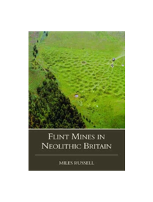 Neolithic Flint Mines in Britain - 9780752414812