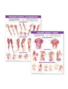 Trigger Point Chart Set: Torso & Extremities Paper - 9780781773065