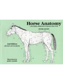 Horse Anatomy 2e - 9780851317694