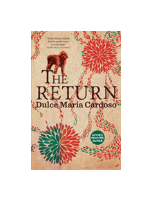 The Return - 9780857054364