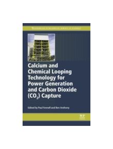 Calcium and Chemical Looping Technology for Power Generation and Carbon Dioxide (Co2) Capture - 9780857092434
