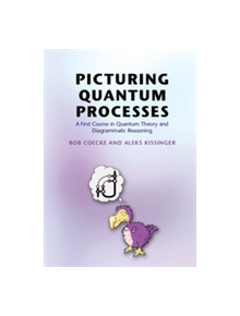 Picturing Quantum Processes - 9781107104228