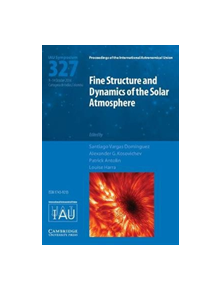Fine Structure and Dynamics of the Solar Photosphere (IAU S327) - 9781107170049