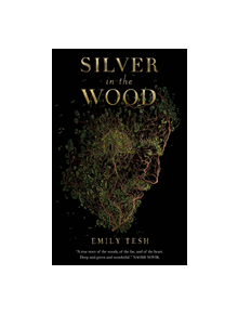 Silver in the Wood - 9781250229793