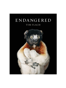 Endangered - 9781419726514