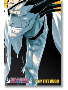 Bleach (3-in-1 Edition), Vol. 5
