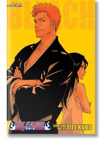 Bleach (2-in-1 Edition), Vol. 25
