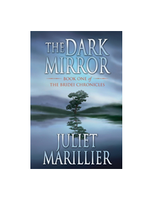 The Dark Mirror - 9781447251750