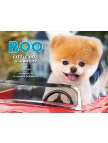 Boo - 9781452109718