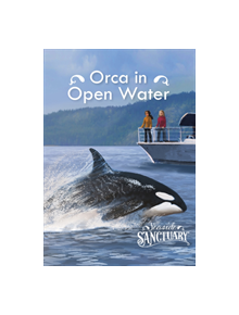 Orca in Open Water - 9781474770040