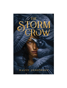 The Storm Crow - 9781492672937