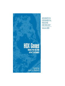 Hox Genes - 9781493941131