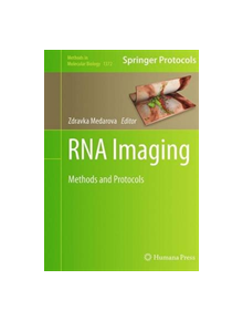 RNA Imaging - 9781493949748