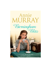 Birmingham Blitz - 9781509807888