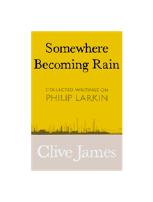 Somewhere Becoming Rain - 9781529028829