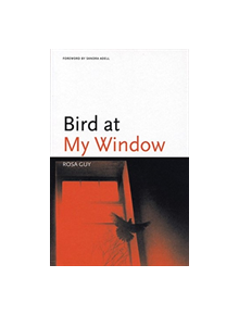 Bird at My Window - 9781566891110