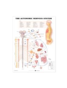 The Autonomic Nervous System Anatomical Chart - 9781587790010