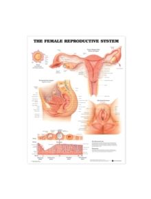 The Female Reproductive System Anatomical Chart - 9781587790201