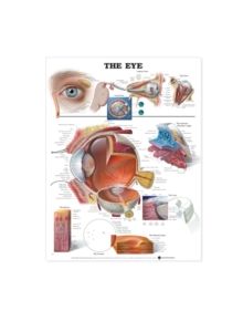 The Eye Anatomical Chart - 9781587791260