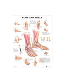 Foot and Ankle Anatomical Chart - 9781587791376
