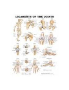 Ligaments of the Joints Anatomical Chart - 9781587794674