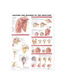 Anatomy and Injuries of the Shoulder Anatomical Chart - 9781587798085
