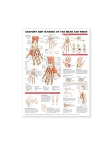 Anatomy and Injuries of the Hand and Wrist Anatomical Chart - 9781587799136
