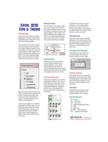 Excel 2010 Laminated Tip Card - 9781615479931
