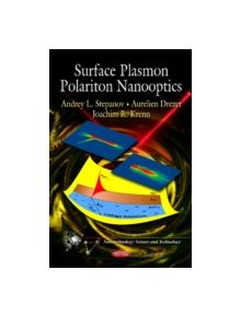 Surface Plasmon Polariton Nanooptics - 9781619423527