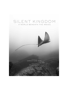 Silent Kingdom - 9781683835844