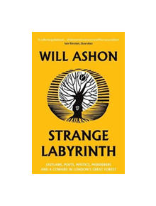 Strange Labyrinth - 9781783783458