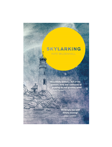 Skylarking: Striking fiction rooted in adolescent friendship and desire - 9781785079238